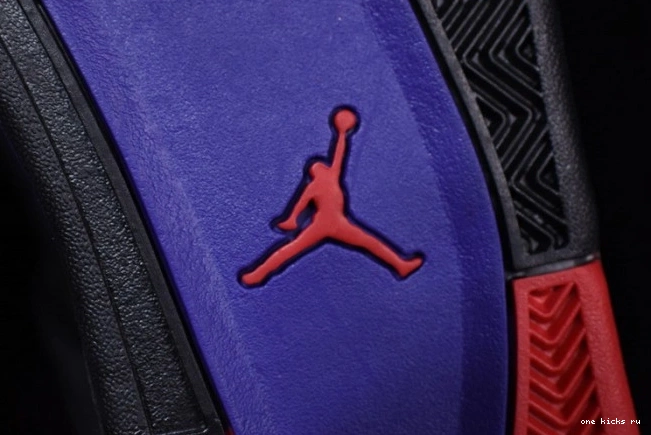 Rep Onekick Jordan Raptors